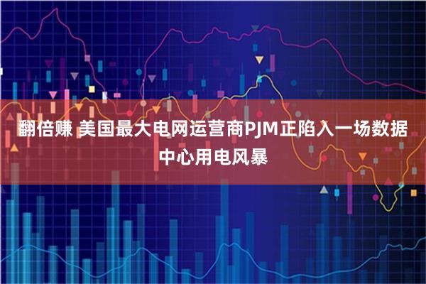 翻倍赚 美国最大电网运营商PJM正陷入一场数据中心用电风暴