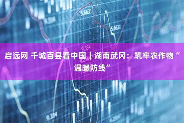 启远网 千城百县看中国｜湖南武冈：筑牢农作物“温暖防线”