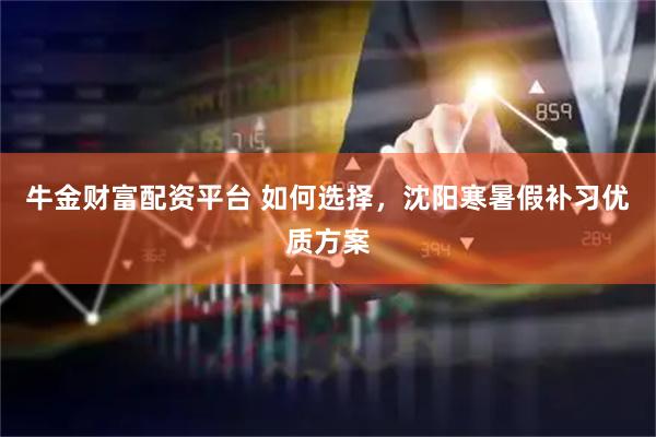 牛金财富配资平台 如何选择，沈阳寒暑假补习优质方案